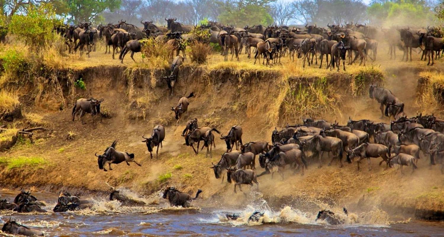 Images available but not displaying well