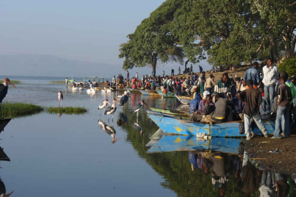 Images available but not displaying well