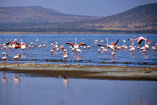 Images available but not displaying well