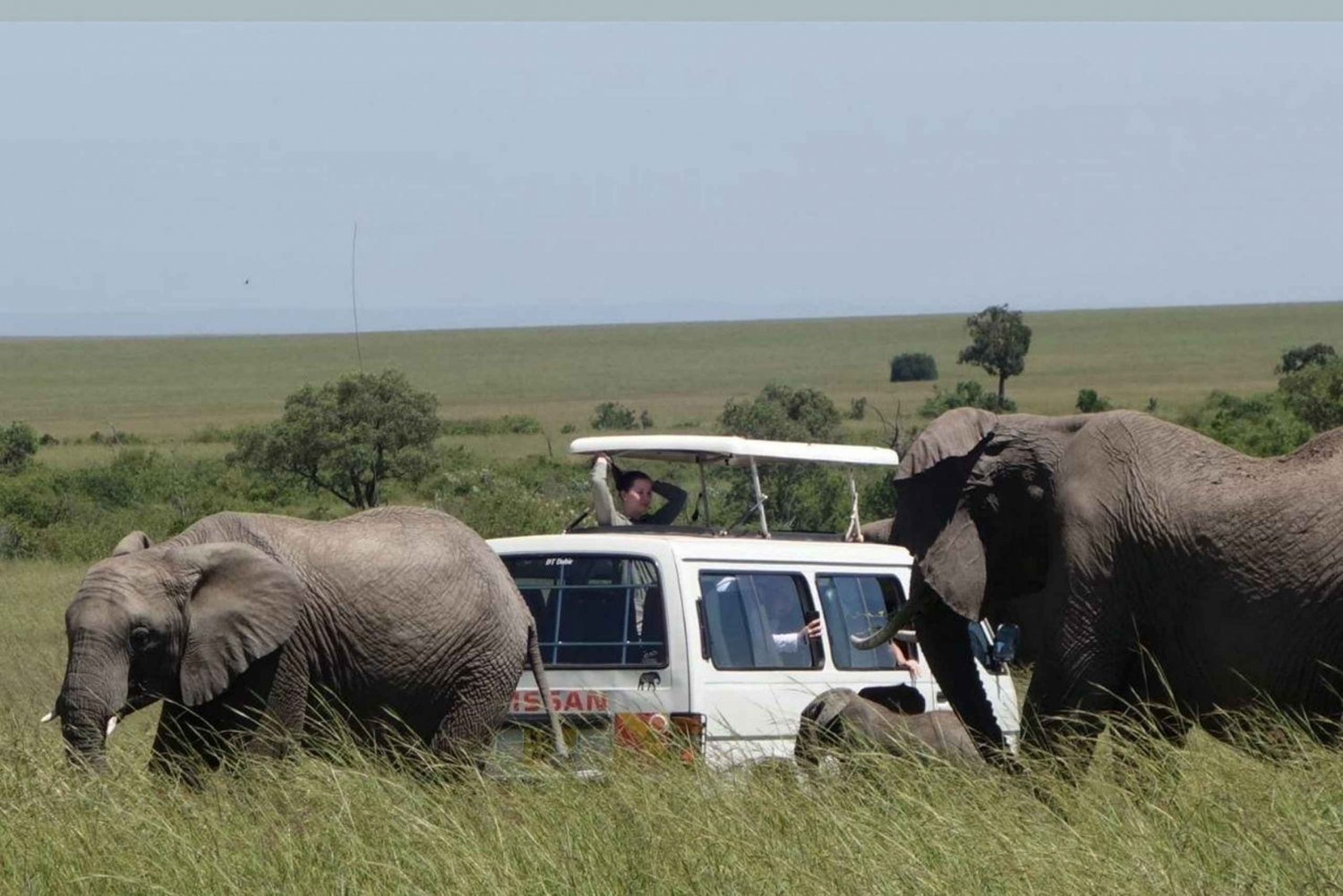 Images available but not displaying well