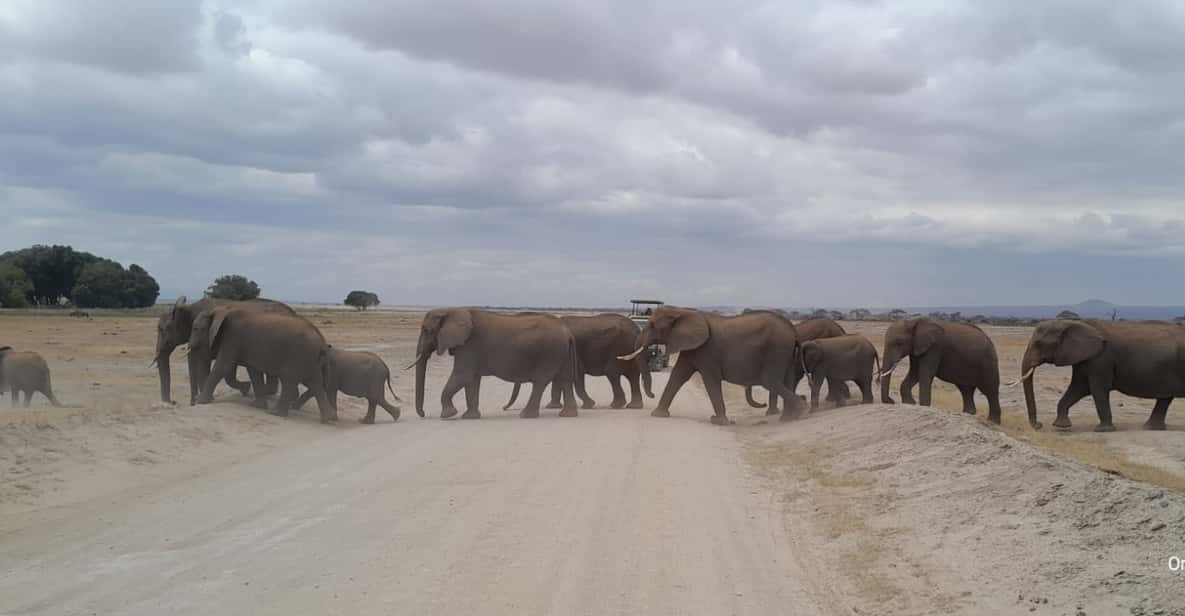 Images available but not displaying well