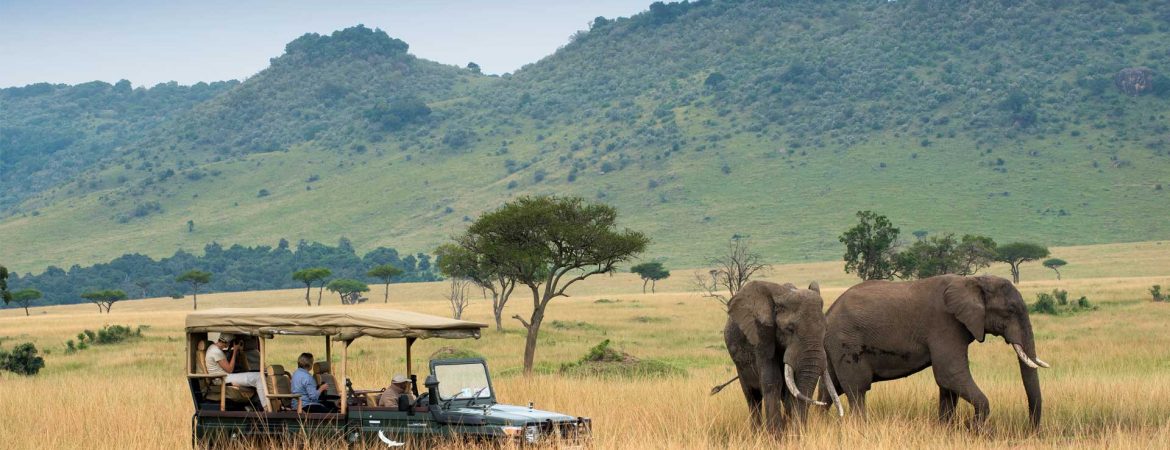 Images available but not displaying well