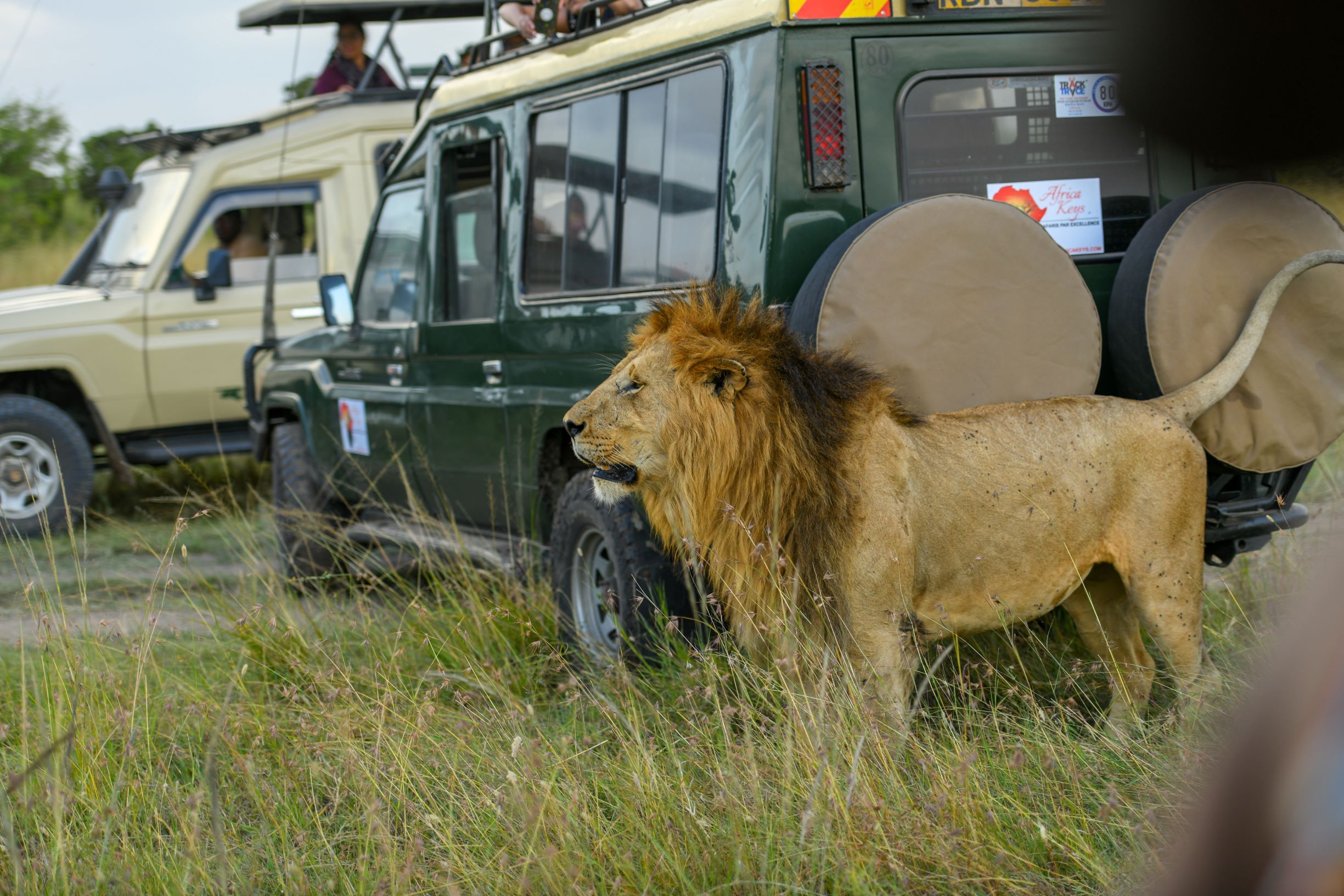 Images available but not displaying well