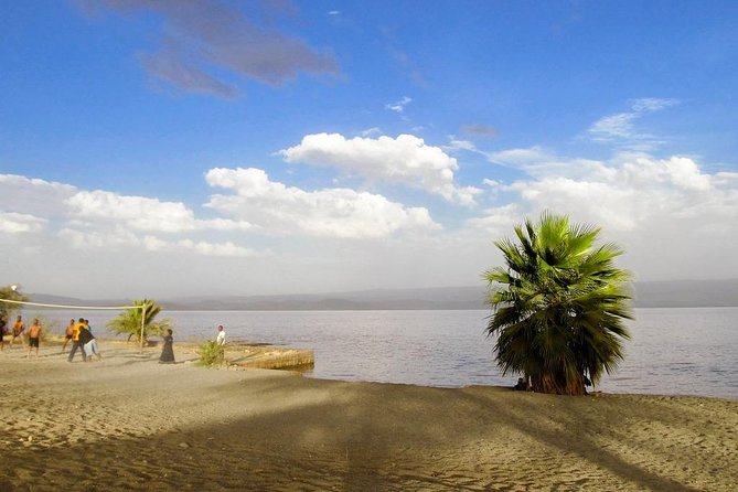 Images available but not displaying well