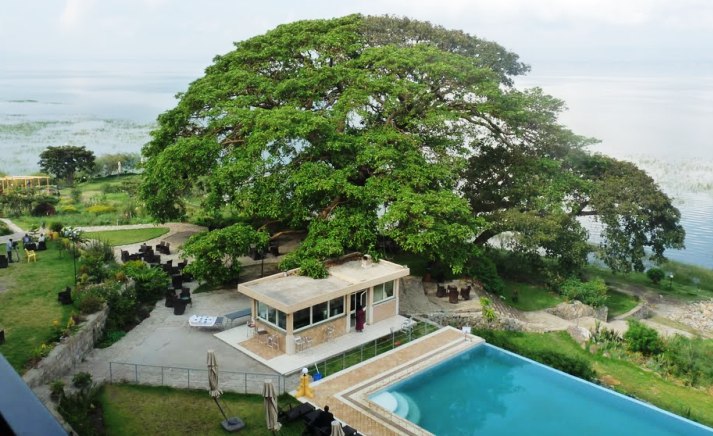 Images available but not displaying well